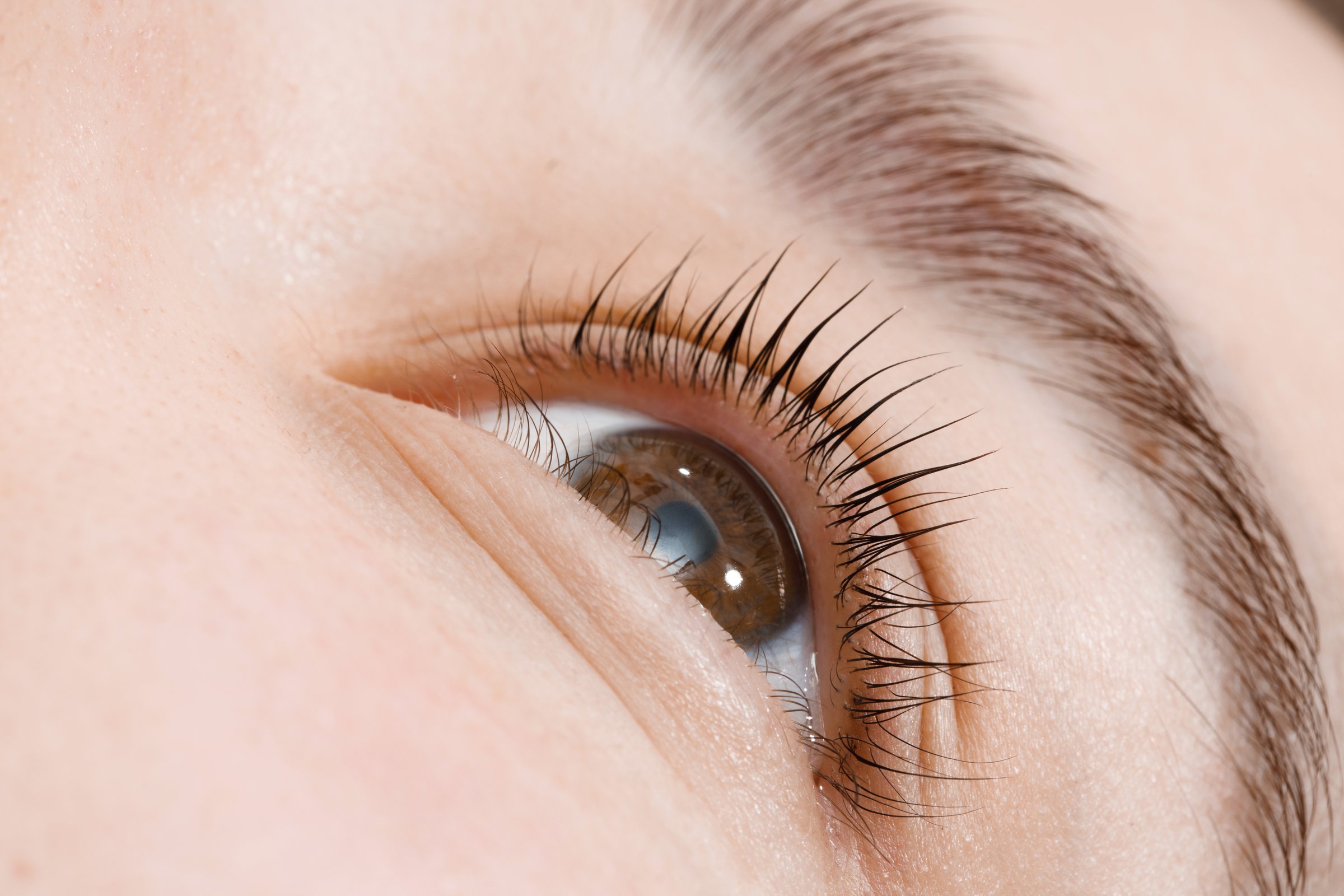 Lash lift and tint in Newark, CA — natural lashes lifted from the root and tinted dark